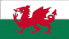 psychic testimonials, Welsh flag